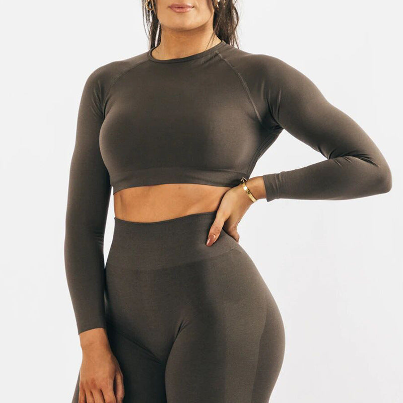 Seamless Yoga Long Sleeve Top Tight Fast Drying Moisture Absorption High Waist Hip Lifting Yoga Pants Fitness Suit Women